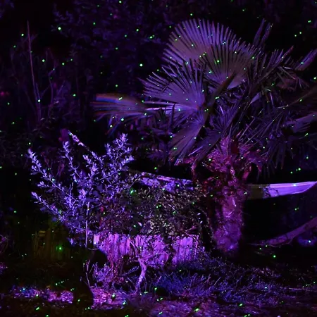 D'hotes A 5mn Des Plages ホームステイ パトリモニオ