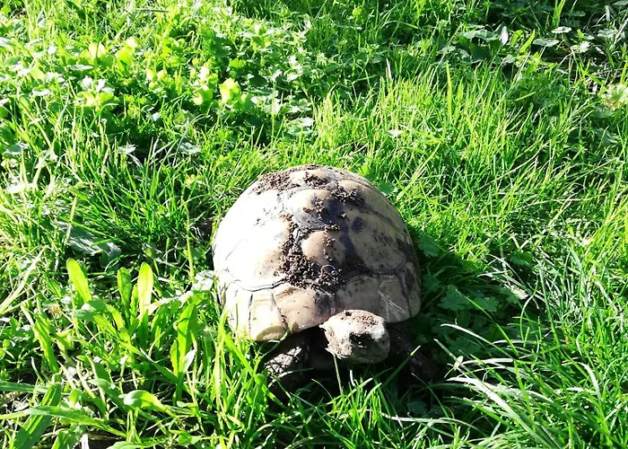 D'hotes A 5mn Des Plages Accommodatie bij particulieren