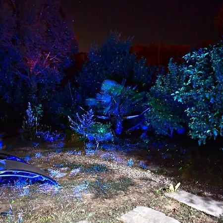 Chambre D'Hotes A 5Mn Des Plages Homestay Patrimonio