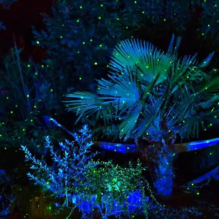 Chambre D'Hotes A 5Mn Des Plages *